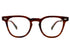 DEAN C 47size col.MOTH TORTOISE